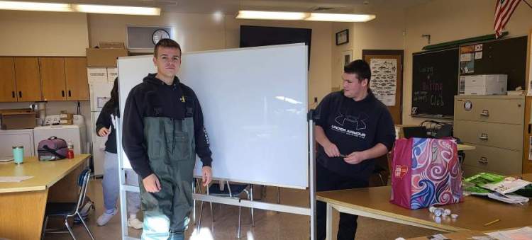Large image of photo: Aquaponics