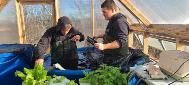 Large image of photo: Aquaculture